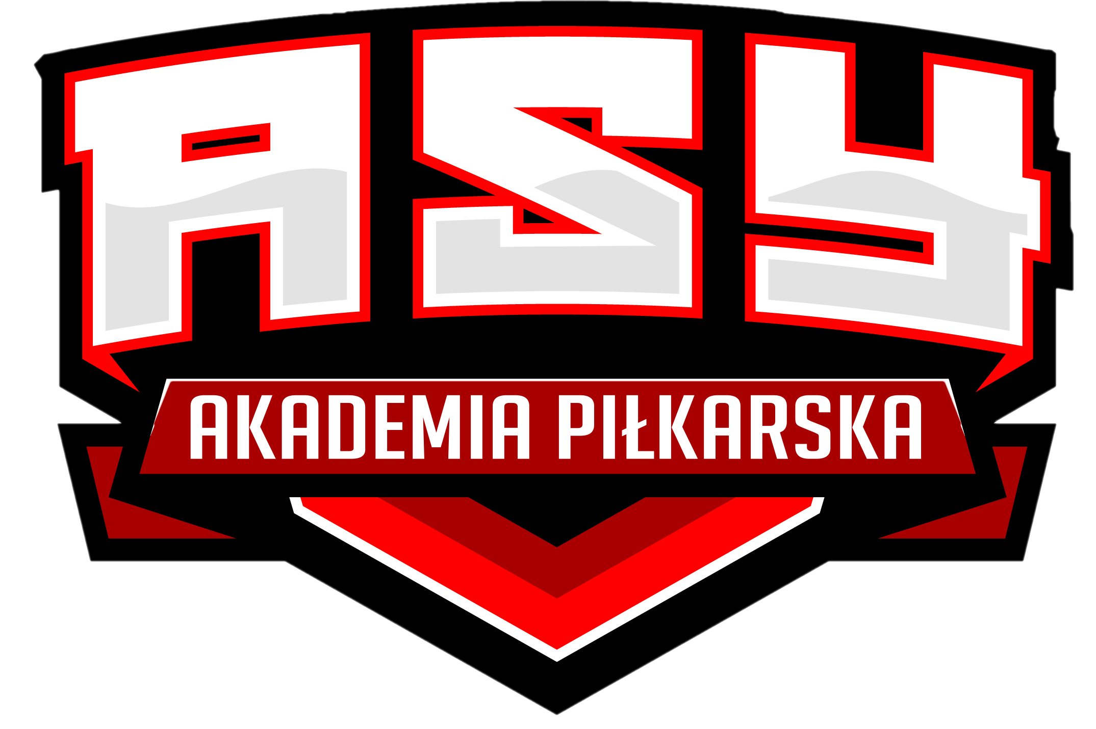 Protrainup system zarz dzania klubem sportowym